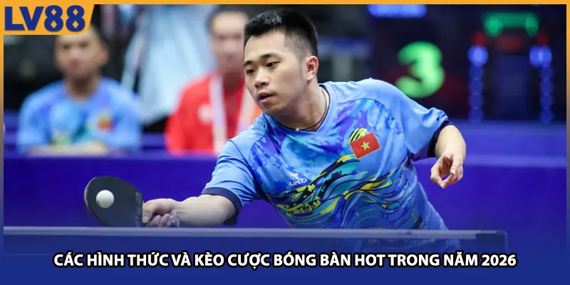 Các hình thức và kèo cược bóng bàn HOT trong năm 2026
