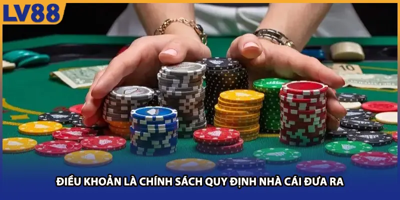 Điều khoản là chính sách quy định nhà cái đưa ra